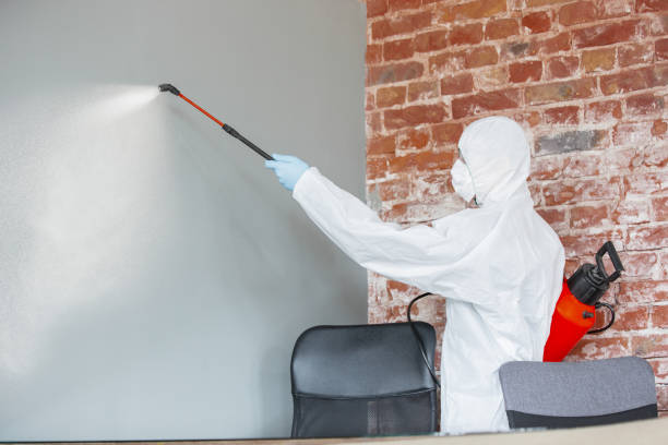 Best Post-Construction Mold Inspection  in New Albany, OH